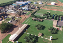 Usina contrata mais de mil para a próxima safra; saiba onde está essa oportunidade de emprego na sua região