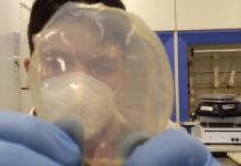 Pesquisador da Unesp desenvolve biofilme com cascas de frutas cítricas capaz de conter hemorragias