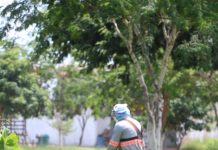 Prefeitura intensifica limpeza de praças e manutenção de vias públicas