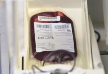 Saúde e Anvisa atualizam regras para doação de sangue durante pandemia