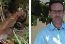 Comerciante de Cardoso perde a vida em acidente na Péricles Belini