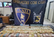 Polícia flagra motorista com mais de R$ 700 mil em rodovia de Santa Adélia