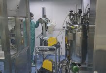 Covid-19: vacina 100% brasileira está em fase final de desenvolvimento