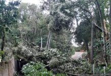 Neoenergia Elektro alerta sobre cuidados com cabos de energia partidos em períodos chuvosos
