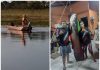 Jovem fisga pirarucu de mais de 115 quilos em rio de Cardoso: ‘Não foi fácil tirar da água’