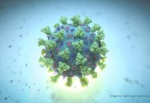 Secretaria de Saúde de Birigui confirma primeiro caso positivo da variante ômicron do coronavírus