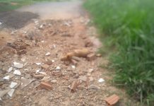 Cão é sacrificado após ser encontrado com patas mutiladas em Penápolis