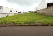 Limpeza de terrenos: fiscalização começa nesta terça-feira