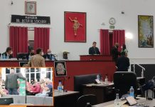 Vereadora se irrita após ter fala ironizada em sessão da Câmara