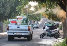 Epidemia de Dengue: Secretaria da Saúde alerta população para risco da doença