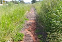 Valdecir Lio pede que Prefeitura realize a manutenção de ciclovia próxima ao 5º Distrito Industrial