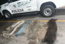 Polícia Ambiental prende procurado pela Justiça no rio São José