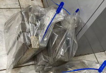 Passageiro de ônibus é preso após ser flagrado com tijolos de maconha escondidos em mala