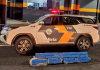 Dupla é presa após ser flagrada com mais de 100 kg de maconha em rodovia de Penápolis
