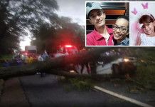 Vítimas que morreram após queda de árvore sobre carro são da mesma família, diz polícia