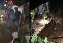 Sobe para 28 o número de mortos pelas chuvas no estado de SP; corpos de gêmeos desaparecidos são localizados pelos bombeiros