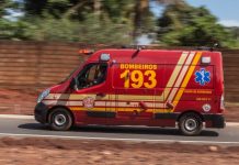 Motorista morre após caminhão tombar em rodovia de General Salgado