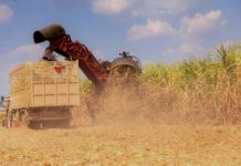 Exportações do agro paulista aumentam 9,5% em 2021