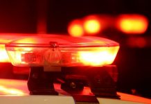 Mulher morre após invadir pista e ser atropelada por carro na Rodovia Washington Luís