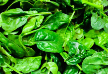 Quatro alimentos que auxiliam na redução das dores no corpo