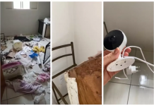 Cão repercute na web após vídeo de destruição em clínica veterinária: ‘Comeu a câmera para ocultar o crime’