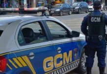 GCM: Mehde Meidão apresenta anteprojeto para criação do órgão de segurança na Câmara