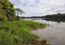 Adolescente morre após se afogar em represa de Severínia