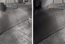 Motorista atropela jovem em bicicleta e foge sem prestar socorro em Penápolis; vídeo