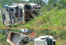 Motorista fica ferido após caminhão cair em ribanceira às margens de rodovia em Cardoso