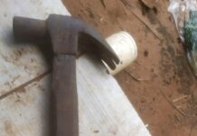 Cadela é morta com golpes de martelo em Olímpia