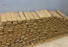 Polícia recebe denúncia e encontra mais de 400 quilos de maconha em residência