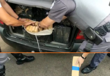 Polícia Rodoviária apreende mais de 600 quilos de maconha em dois carros abordados em Andradina