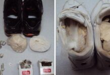 Após saidinha, 50 presos do CPP de Rio Preto não retornam