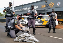 Passageira de ônibus é presa após ser flagrada com pacotes de skunk na Rodovia Marechal Rondon