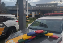 Passageiras de ônibus são flagradas transportando drogas na Rodovia Marechal Rondon