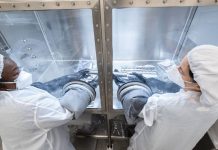 Nasa abre amostra da Lua guardada há 50 anos