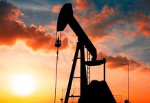 Traíra, truta. E querem robalo