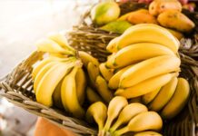 Com alta no preço dos alimentos, nutricionista dá dicas de como evitar o desperdício