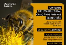 Criação de abelhas sem ferrão é tema de curso oferecido pela Secretaria de Cultura e Turismo