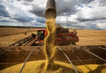 Produção agrícola deve atingir 269,3 milhões de toneladas, diz Conab