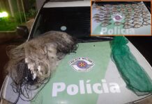 Homem é multado em mais de R$ 2 mil por pesca irregular