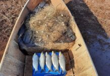Polícia Ambiental multa pescadores em R$ 2,1 mil por pesca ilegal em Cardoso