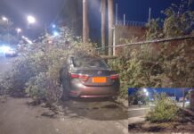 Temporal derruba árvore que cai em cima de carro em Votuporanga