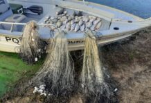 Trio é multado em R$ 8 mil por pesca irregular em Cardoso