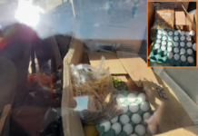 Merendeiras são presas após furtarem alimentos de escola em Araçatuba