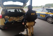 PRF apreende mercadorias do Paraguai avaliadas em R$ 100 mil