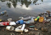Microplástico pode transportar para oceanos germes que causam doenças