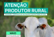 Secretaria de Desenvolvimento Econômico divulga campanha de vacinação contra febre aftosa