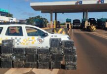 Em 72 horas, Polícias de SP apreenderam mais de 960 tijolos e 24 mil porções de drogas