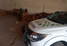 Madeireiras são multadas durante operação da Polícia Ambiental